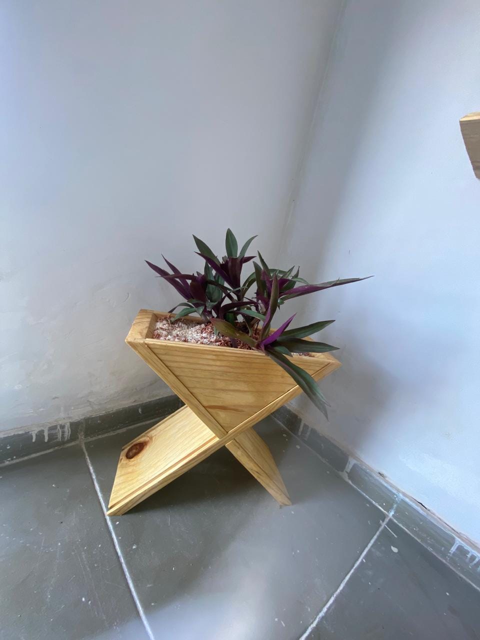 Cachepô geométrico em formato X em madeira pinus com planta ornamental